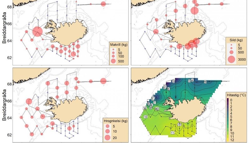 Makríll útbreiddur við landið