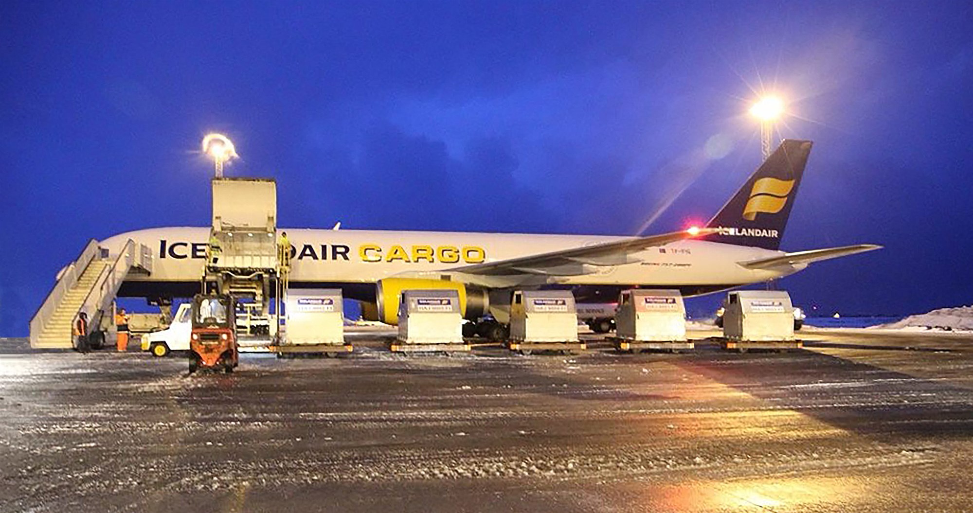 Á síðasta ári voru í fyrsta sinn í sögunni flutt út fleiri en 3.000 hross frá Íslandi