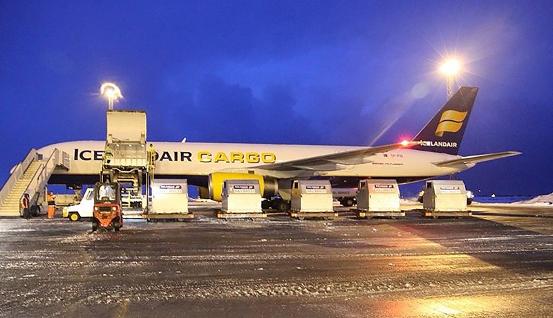 Á síðasta ári voru í fyrsta sinn í sögunni flutt út fleiri en 3.000 hross frá Íslandi