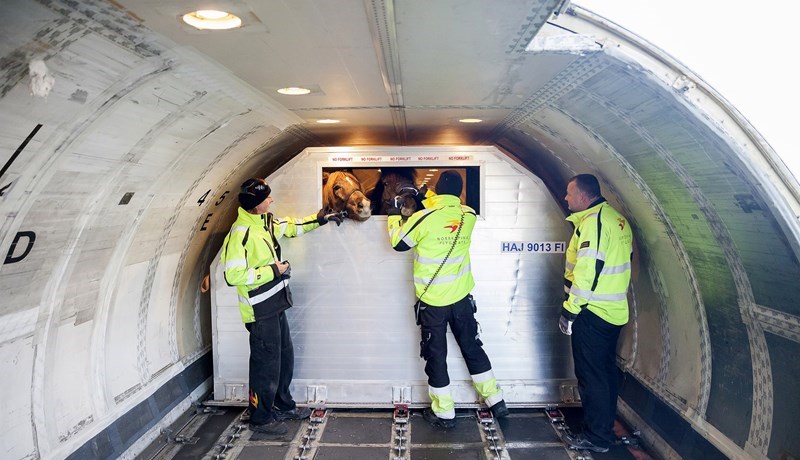 Útflutningsverðmæti