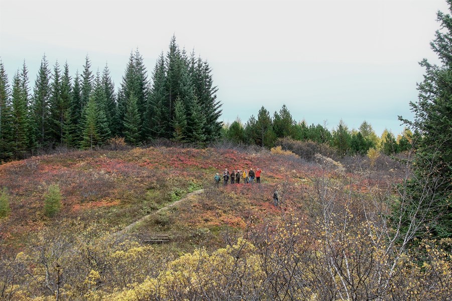 Útivist í skógi á hausti.