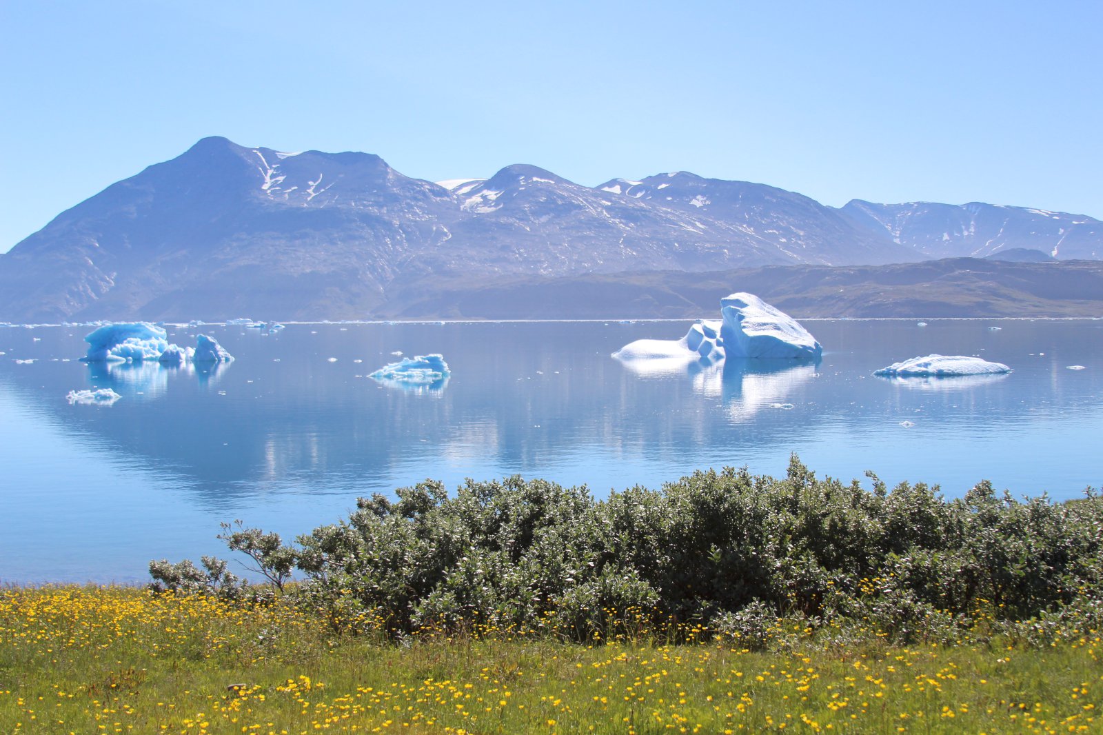 Ferðaþjónustubændur á Suður-Grænlandi  í samstarf við Hey Iceland