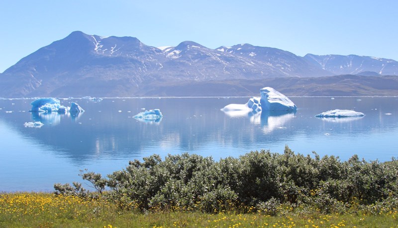Ferðaþjónustubændur á Suður-Grænlandi í samstarf við Hey Iceland