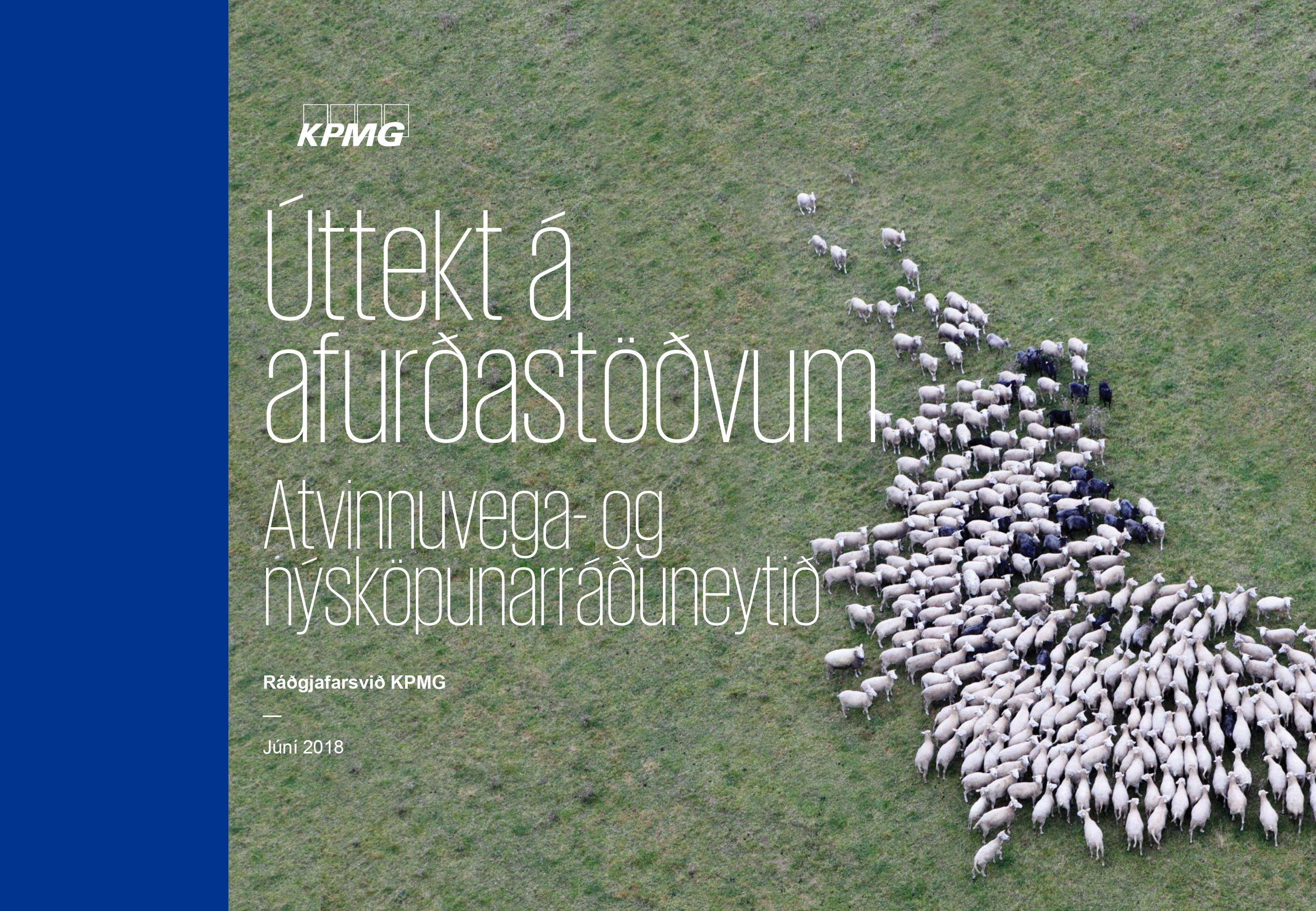 Fækka þarf sláturhúsum og draga úr kindakjötsframleiðslu að mati KPMG