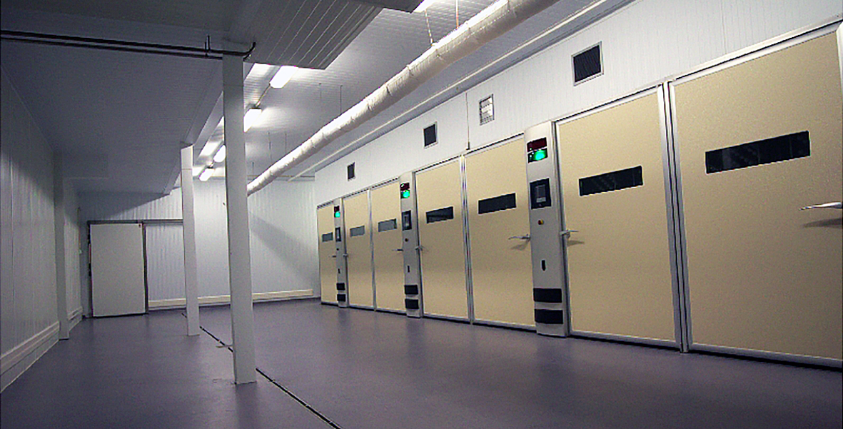 Kannabalismi er mjög sjaldgæft fyrirbæri