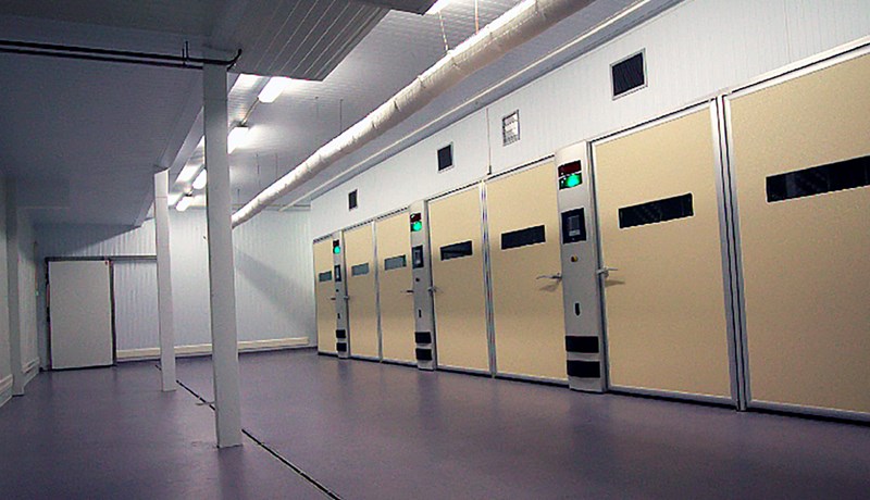 Kannabalismi er mjög sjaldgæft fyrirbæri