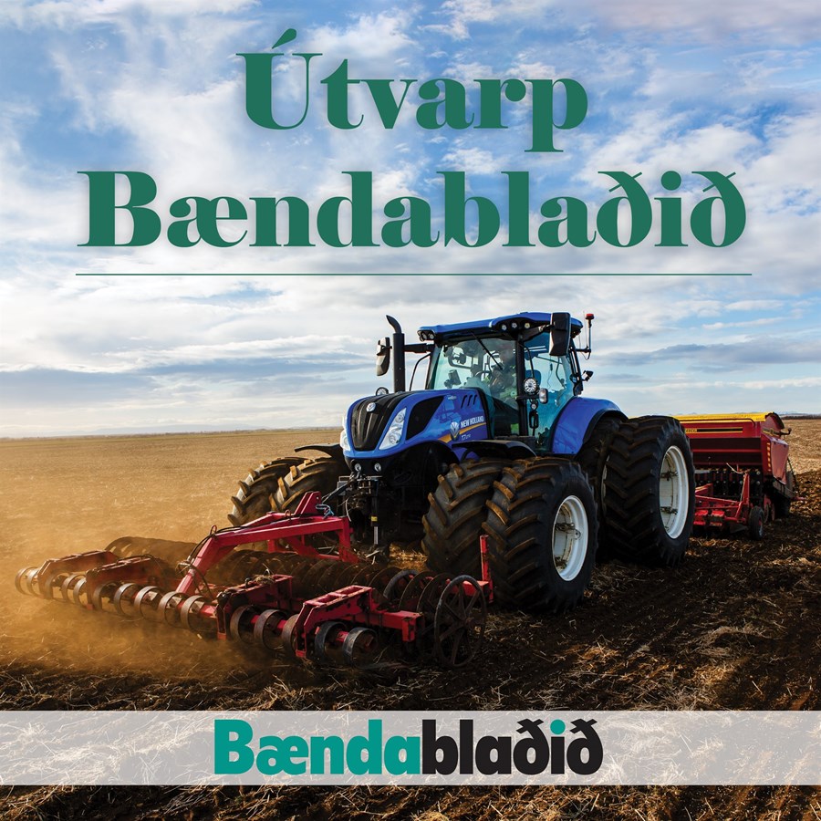 Útvarp Bændablaðið 10. þáttur Jóhann Páll Jóhannsson