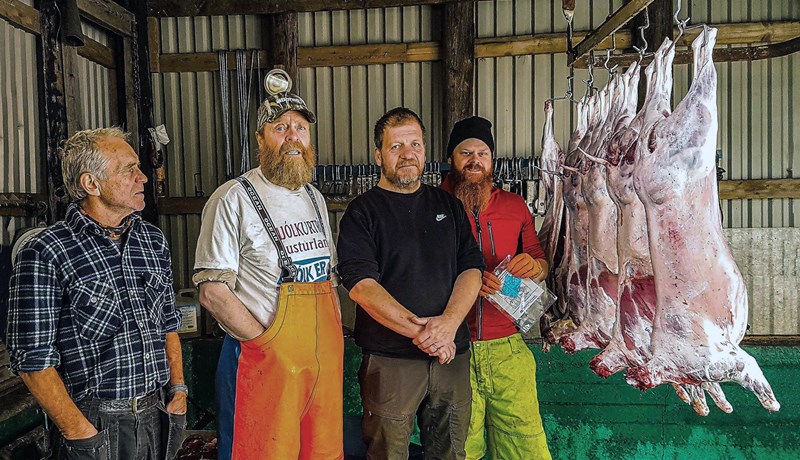 Tilraunaverkefni um heimaslátrun sauðfjár á liðnu hausti gekk vel