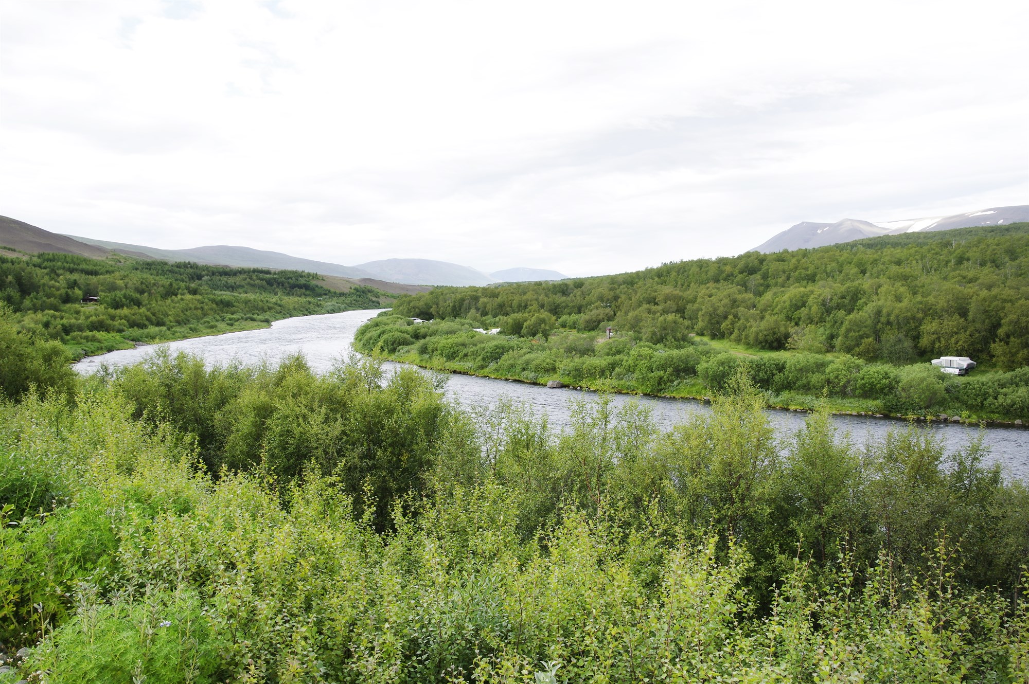 Skýrt verði hver er handhafi kolefnisbindingar skóga í samningum bænda við Skógræktina