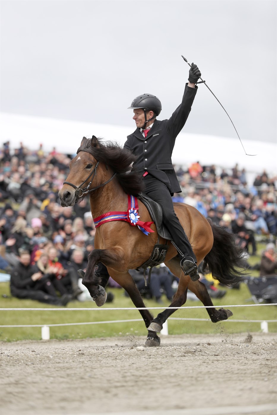 Hæst dæmdu hross ársins