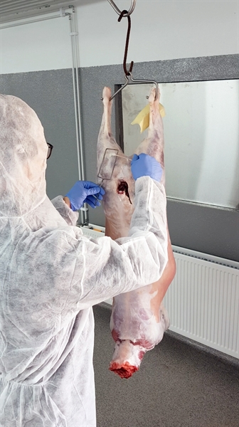 Sveinn Margeirsson í skýrslutöku hjá lögreglunni