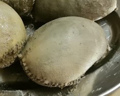 Vambir til sláturgerðar illfáanlegar
