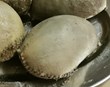 Vambir til sláturgerðar illfáanlegar