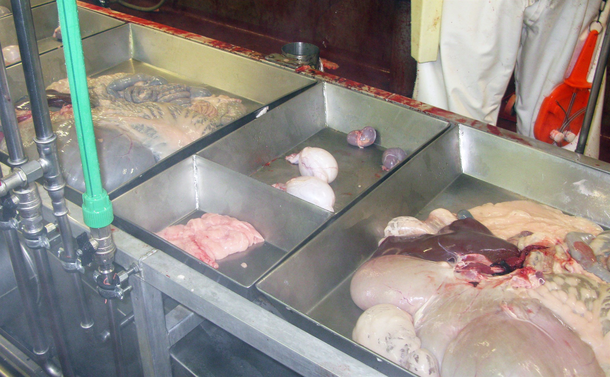 Norðlenska fær heimild til að dreifa gor á svæðinu