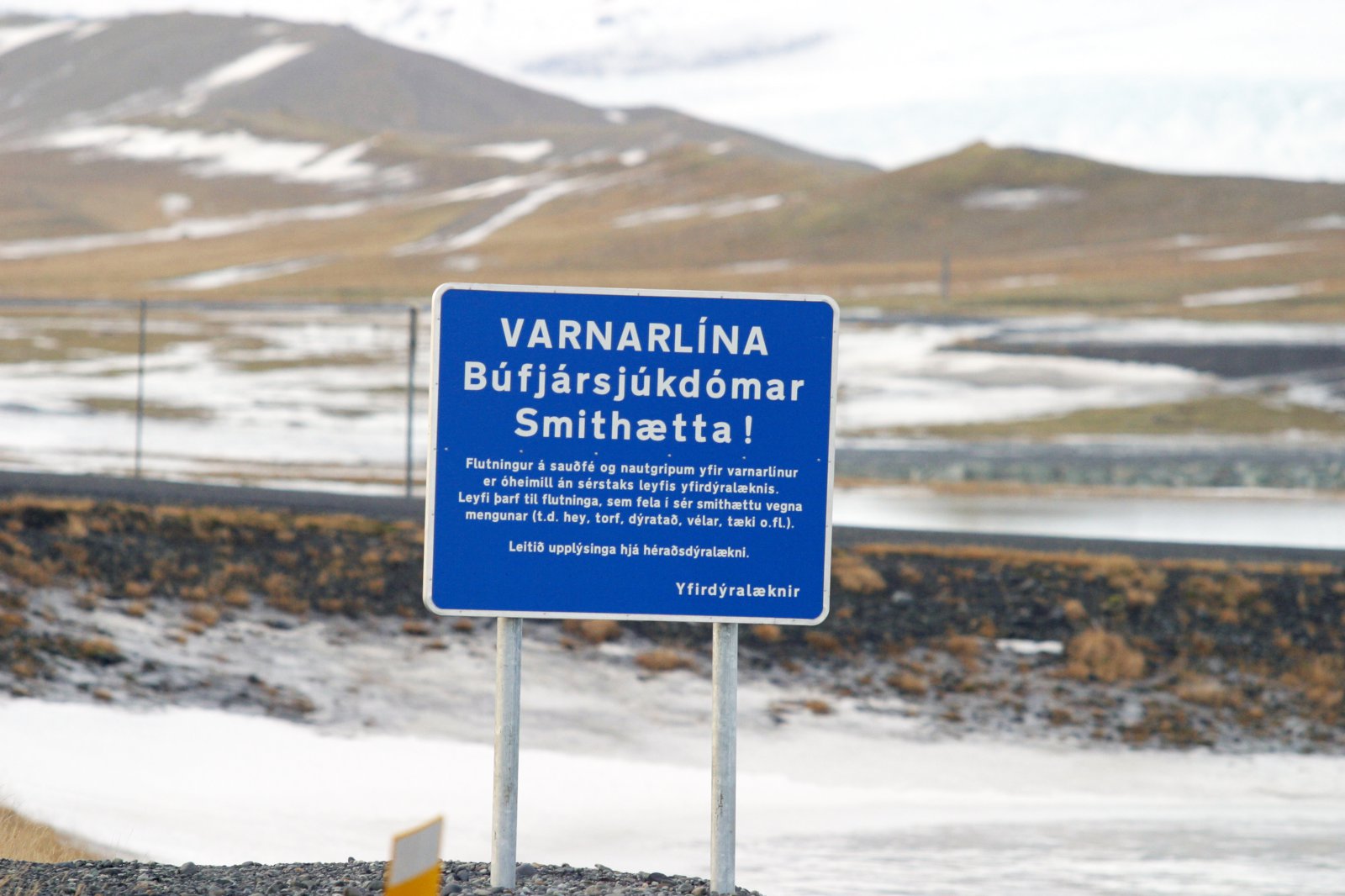 Blöndulína felld niður sem varnarlína dýrasjúkdóma