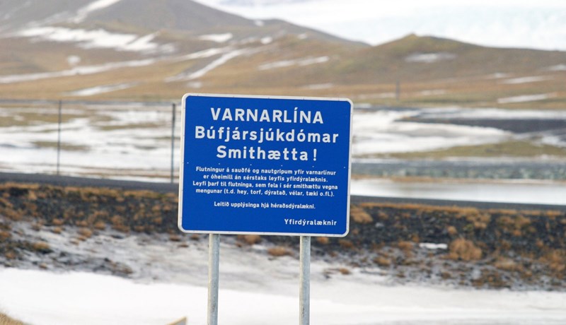 Blöndulína felld niður sem varnarlína dýrasjúkdóma