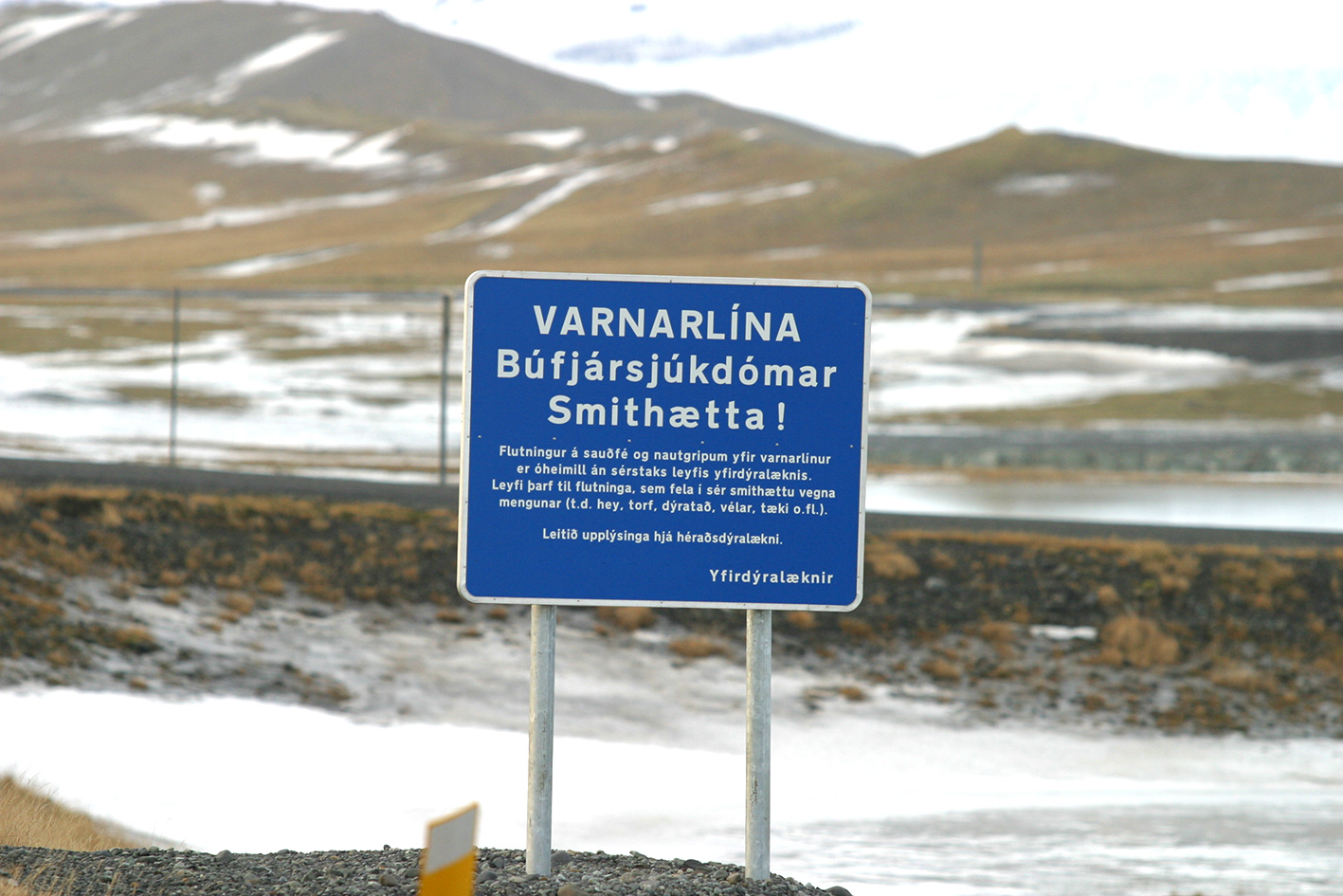 Matvælastofnun kærir fjárflutninga bænda