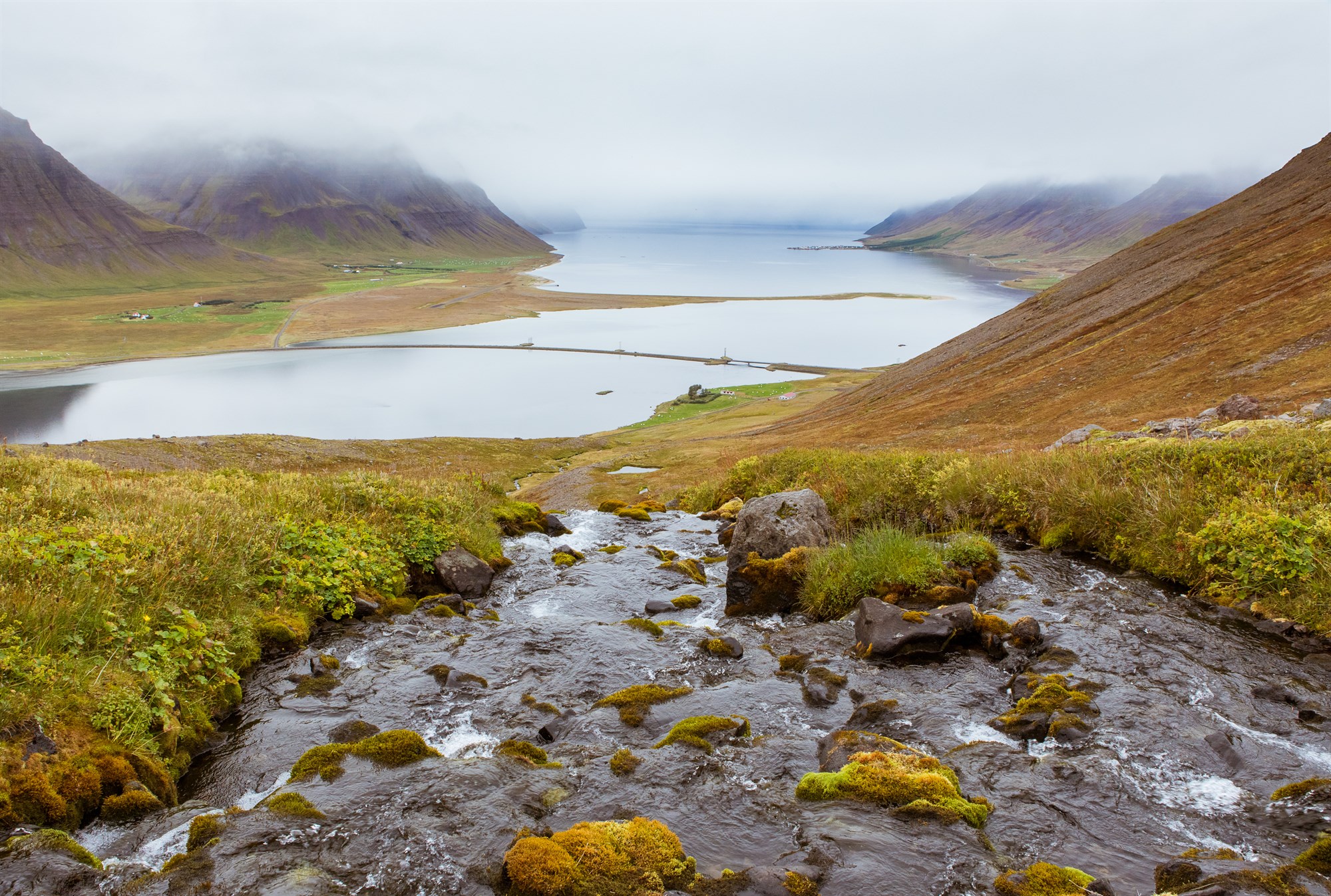 Litlu laxastofnarnir sem á að fórna