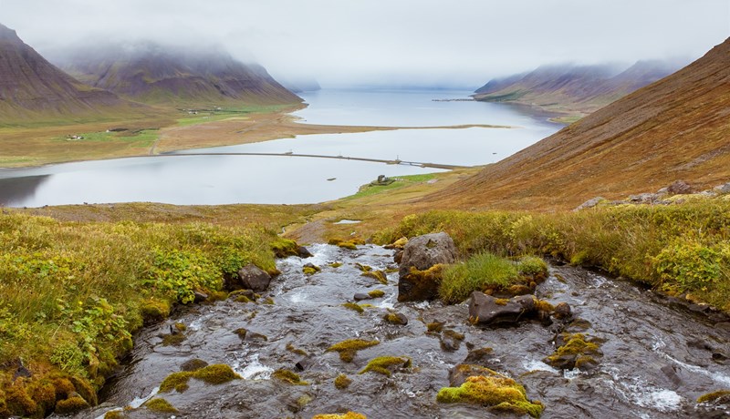 Litlu laxastofnarnir sem á að fórna