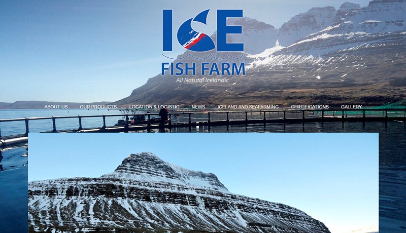 Hyggja á stórfellt fiskeldi á Austfjörðum