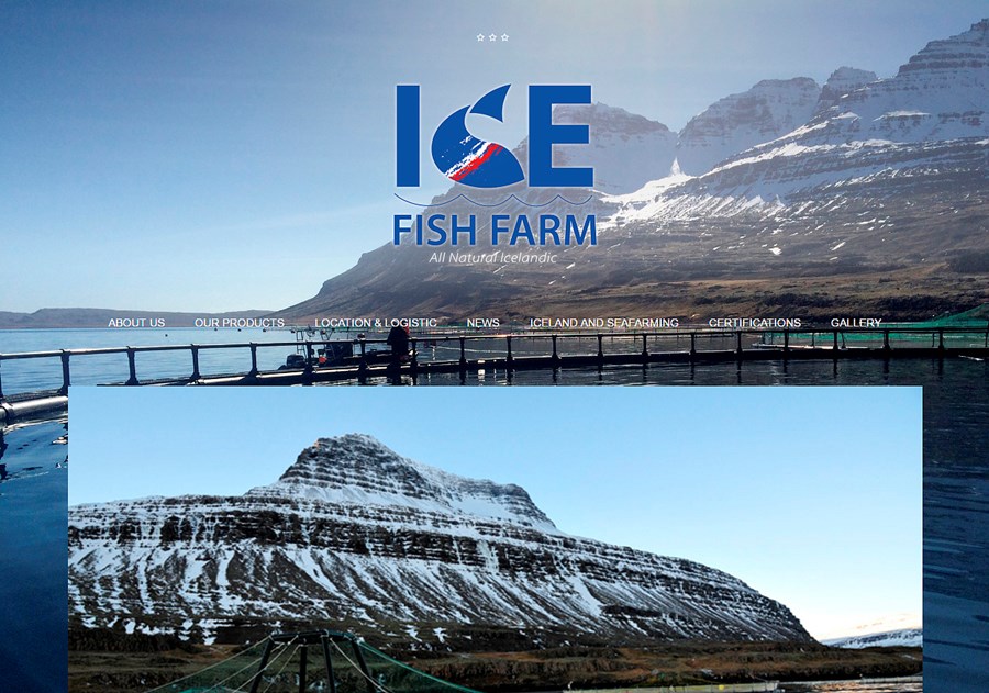 Hyggja á stórfellt fiskeldi á Austfjörðum