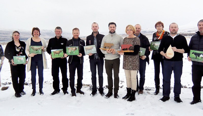 Alfa og Hjálma hæst hjá eyfirskum kúabændum