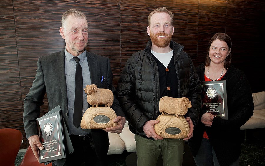 Kjarkur og Ás bestu hrútarnir 2014