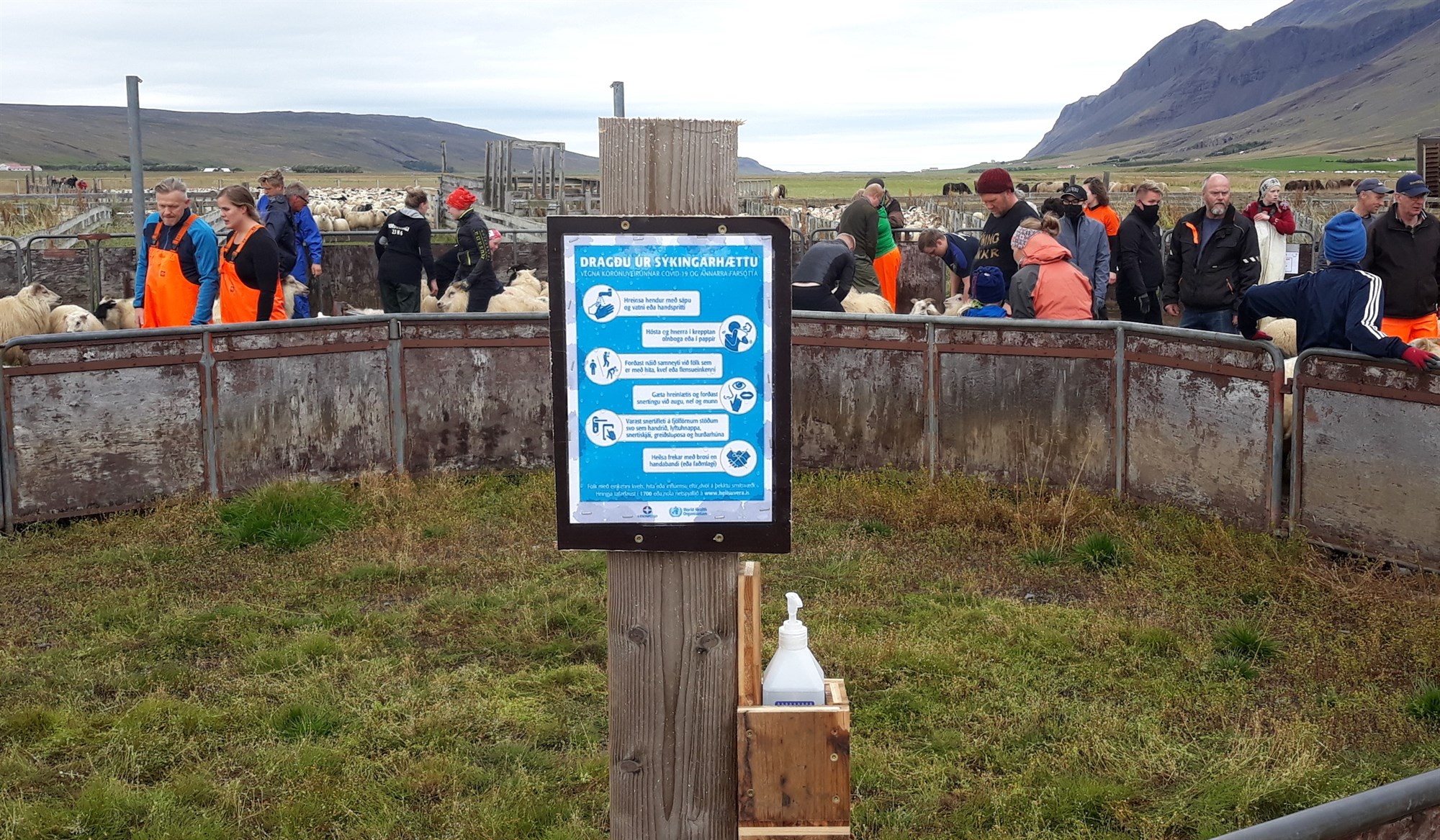 Biðin eftir sprautunni með sjálfsaga Íslendinga