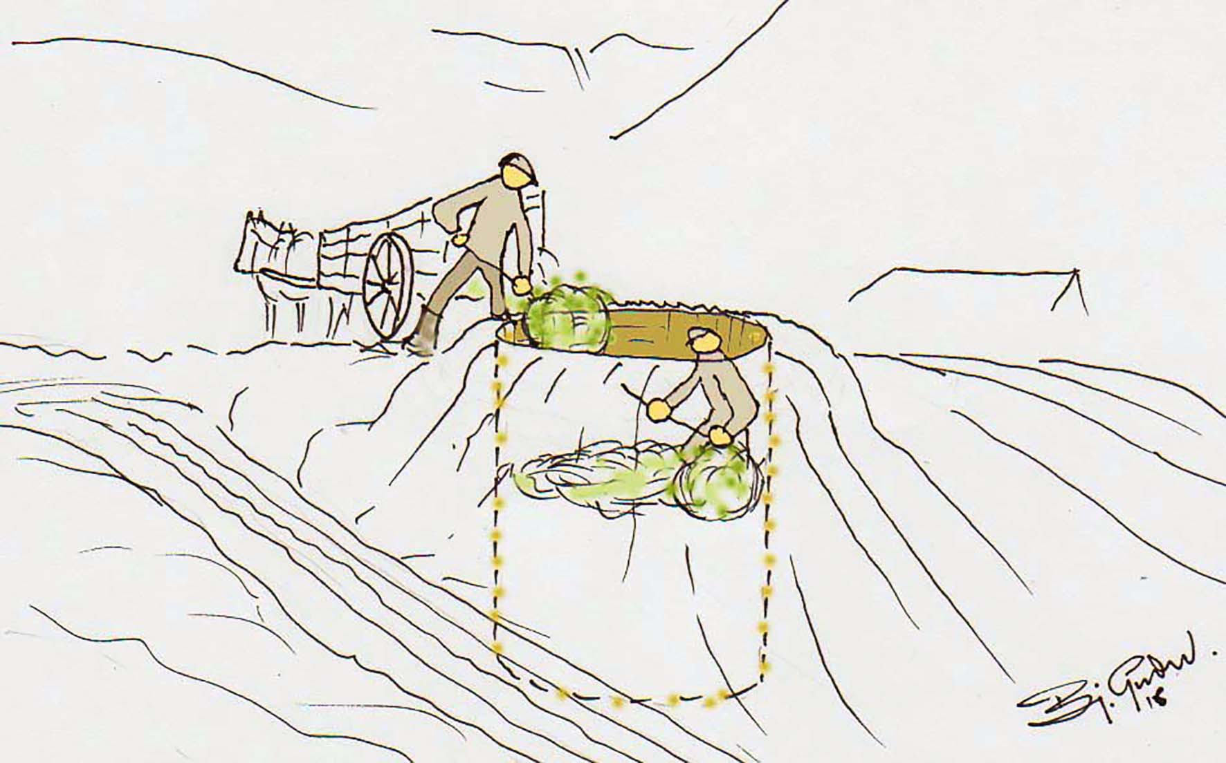 Jarðgryfjur votheys – hlaðnar súrheystóttir