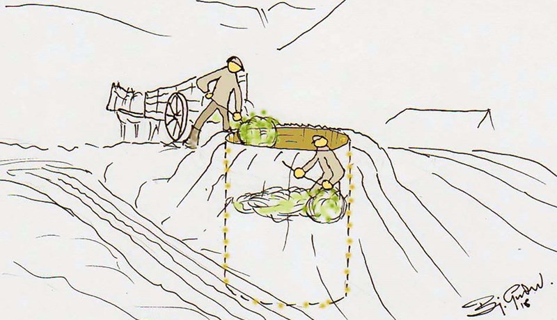 Jarðgryfjur votheys – hlaðnar súrheystóttir