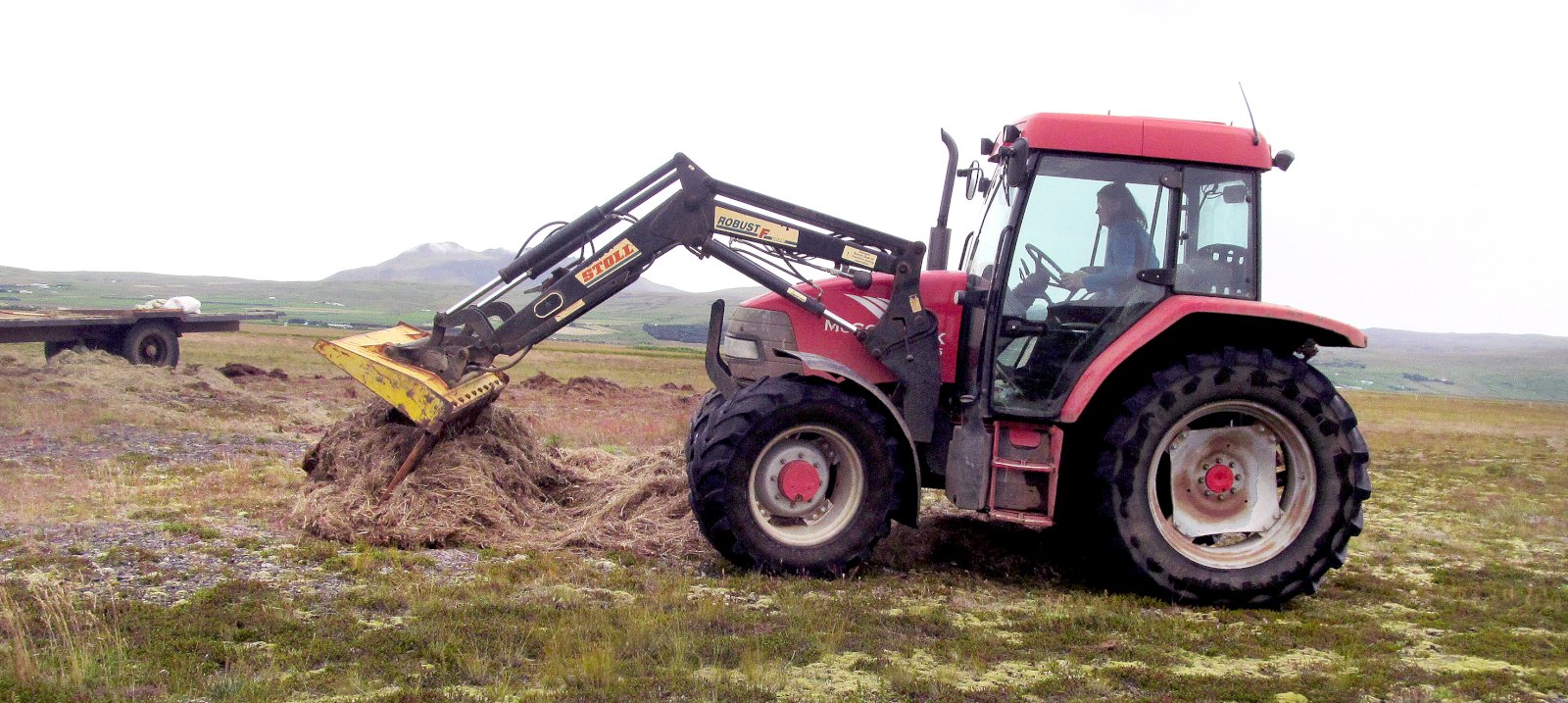 Aukið framlag til skógræktar og fleiri þátta gæti komið í veg fyrir refsiskatta