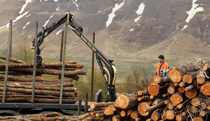 Aðilar í viðarvinnslu taka höndum saman