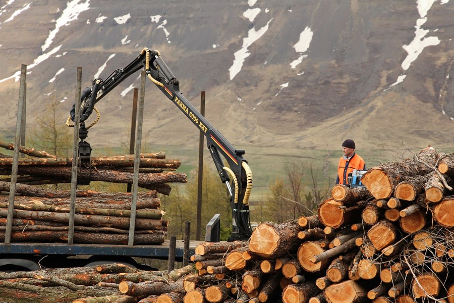 Aðilar í viðarvinnslu taka höndum saman