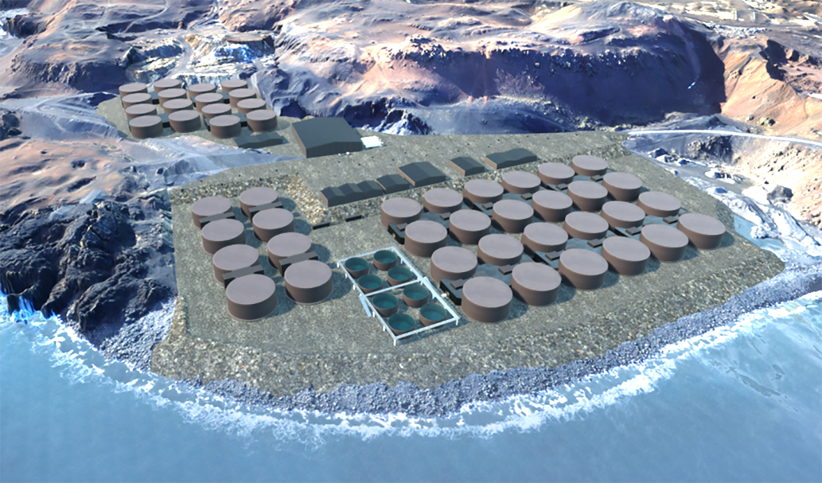 Hrogn komin í seiðaeldi Laxeyjar