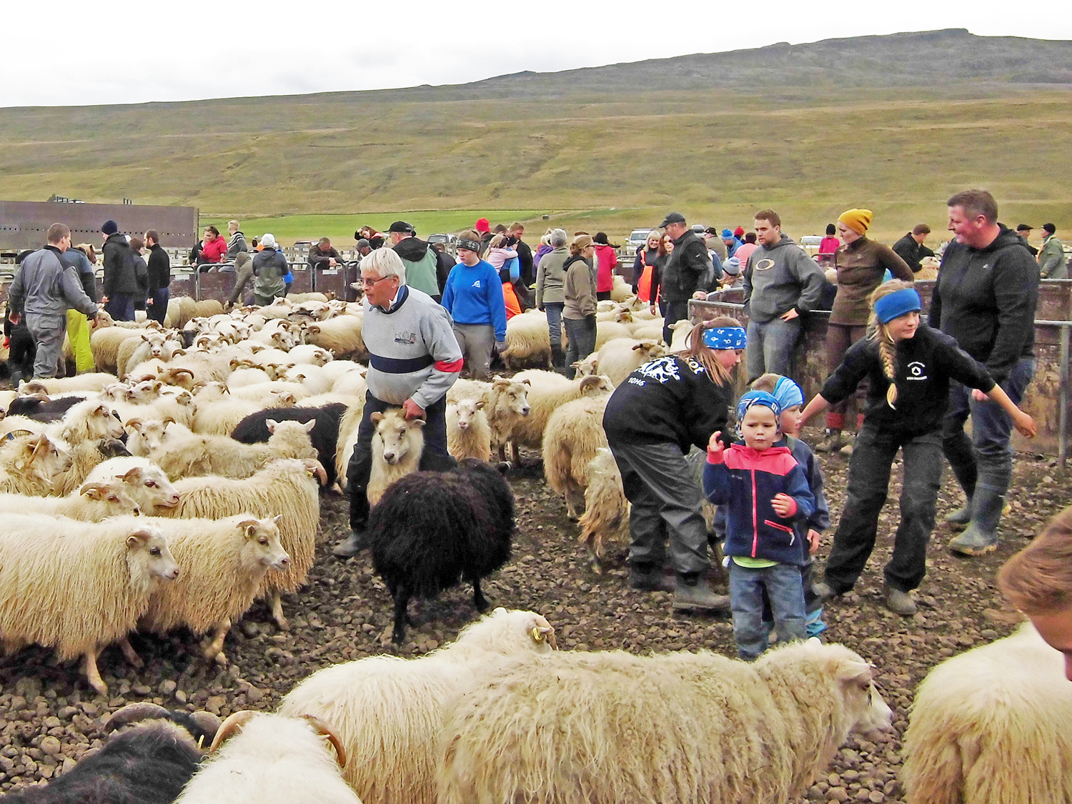 Slys orsakast af óþarfa sýndarmennsku