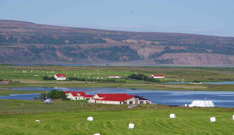 Eitt lið – ein stefna!