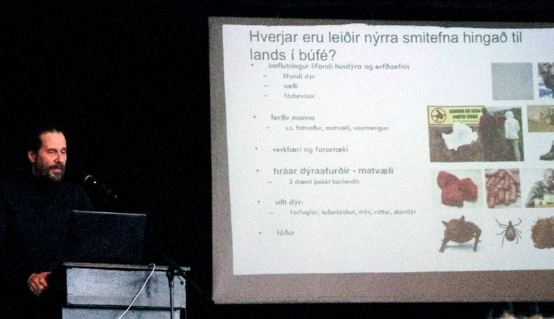 Staða smitsjúkdóma íslensku búfjárstofnanna verðmæti fyrir lýðheilsu landsmanna