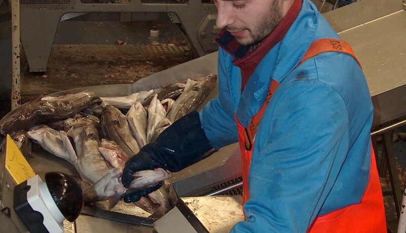 Afli erlendra skipa í íslenskri lögsögu