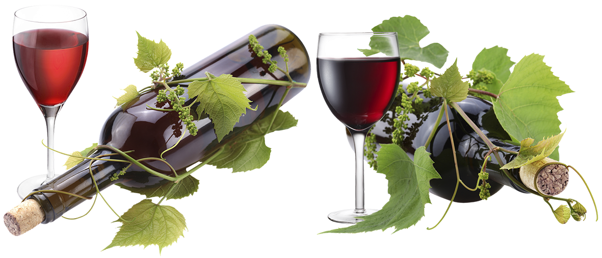 Stjórnvöld vilja uppræta vínekrur