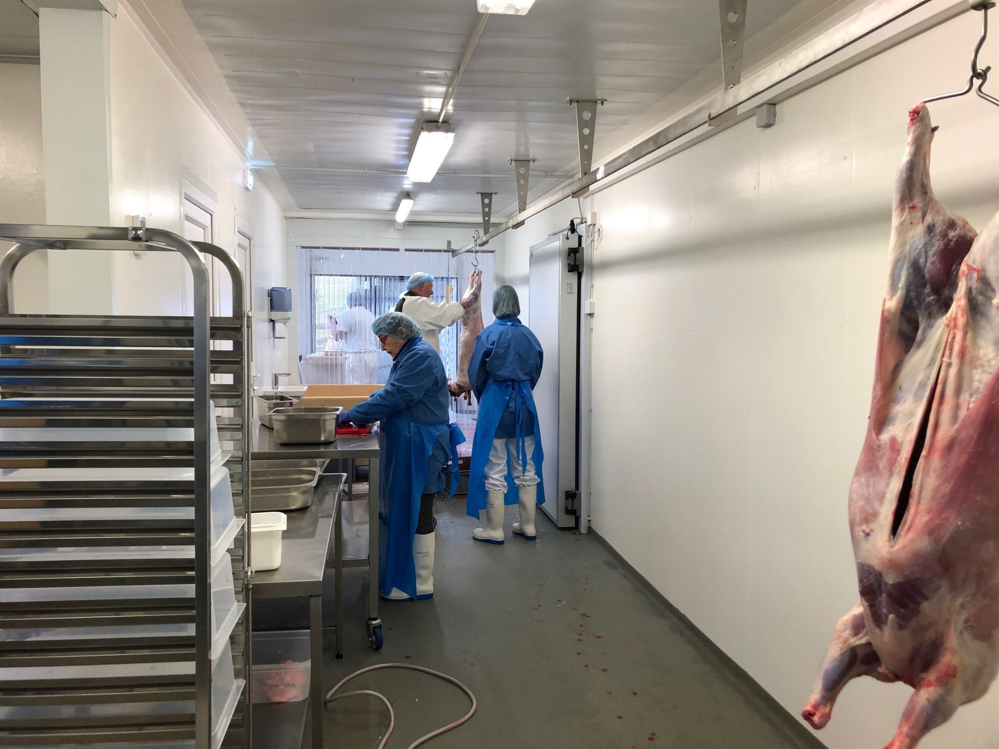 Reistu sér kjötvinnslu og sláturhús 