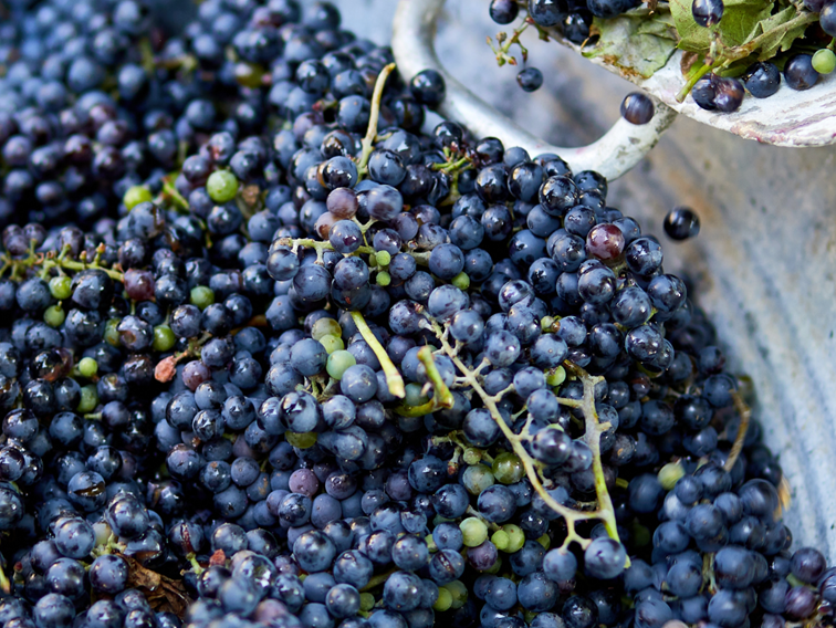 Minnsta framleiðsla í ríflega sextíu ár