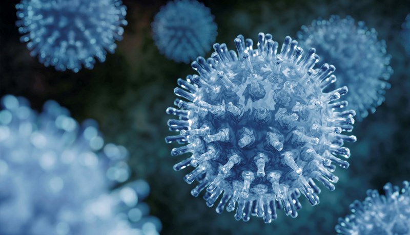 Spóluhnýðissýking, smitandi veirungar