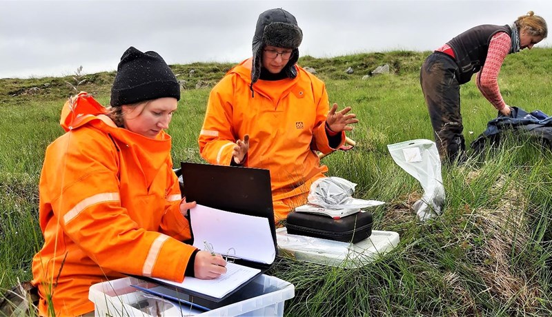 Ný rannsókn á losun CO2 úr ræktarlandi