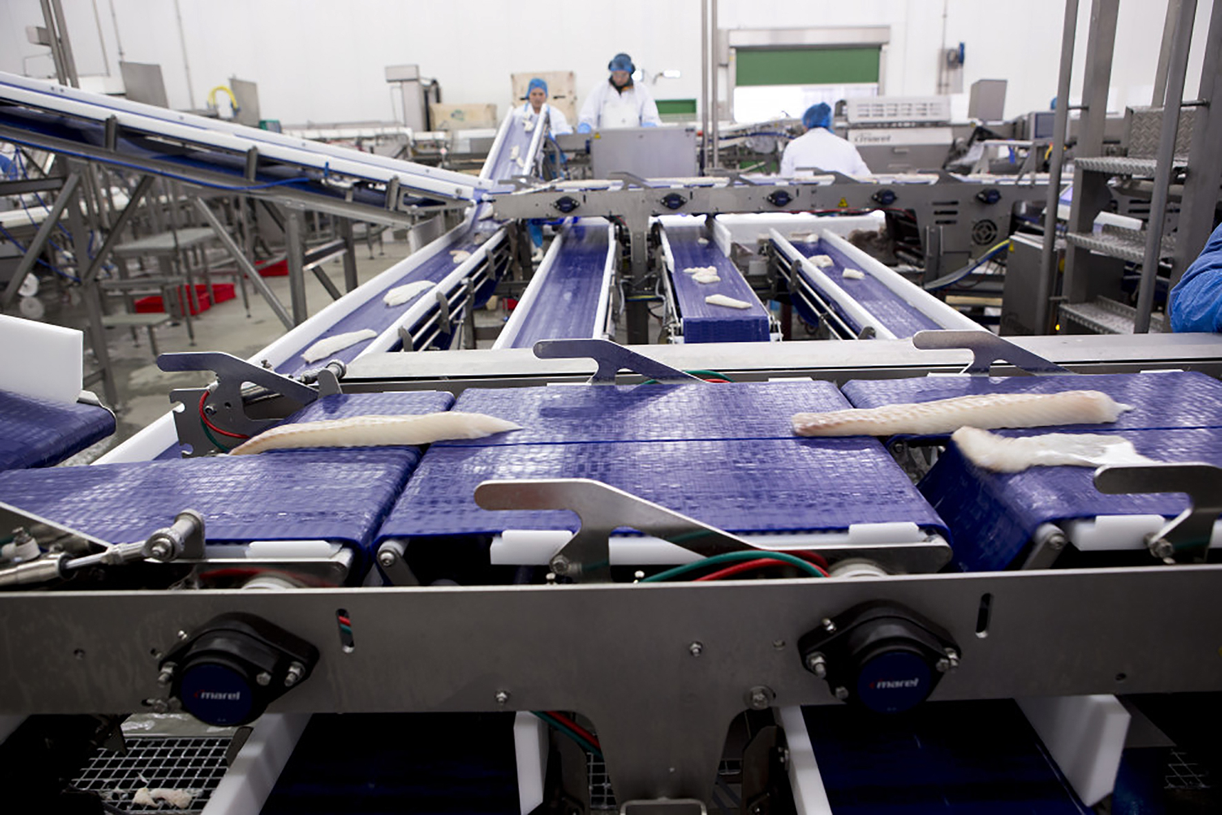 Samkeppnisstaða sjávarútvegsins