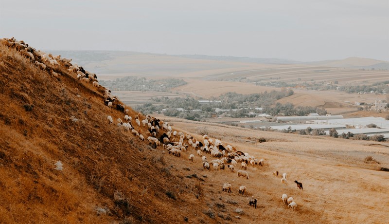 Reglur um viðskipti með landbúnaðarland í aðildarríkjum ESB