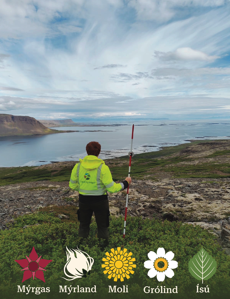 Þróun vöktunarverkefna hjá Landi og skógi
