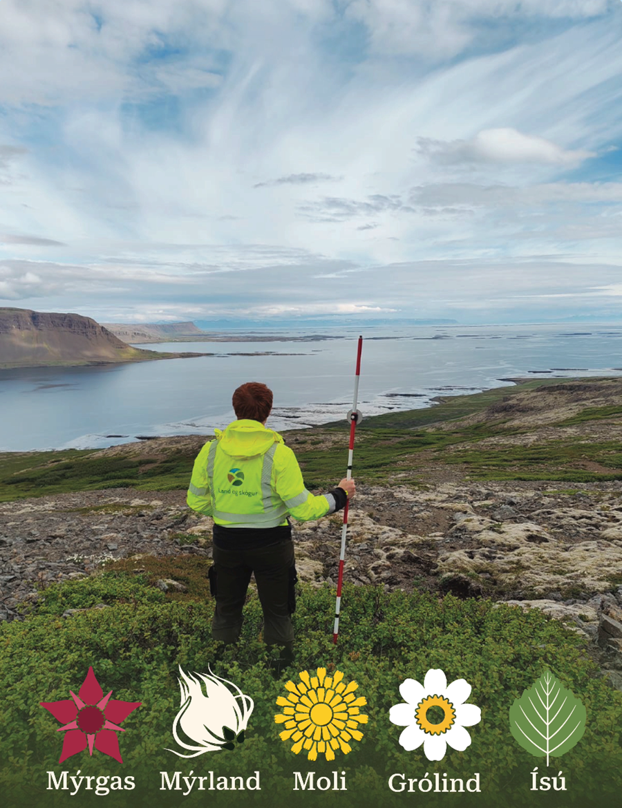 Starfsfólk Lands og skógar stendur vaktina og fylgist með ástandi vistkerfa landsins. Vöktunarverkefnin hafa hvert fengið sitt einkennismerki sem sjá má neðst á myndinni: Engjarós, hrafnafífu, skarifífil, holtasóley og birkilauf. Merkin voru hönnuð af Fífu Jónsdóttur.  