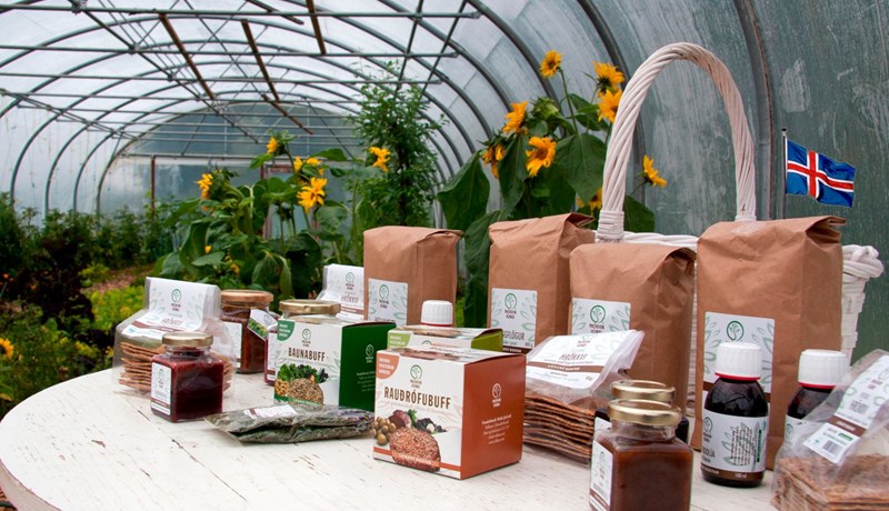 Breytingar á lögum um þjóðfánan samþykktar á Alþingi