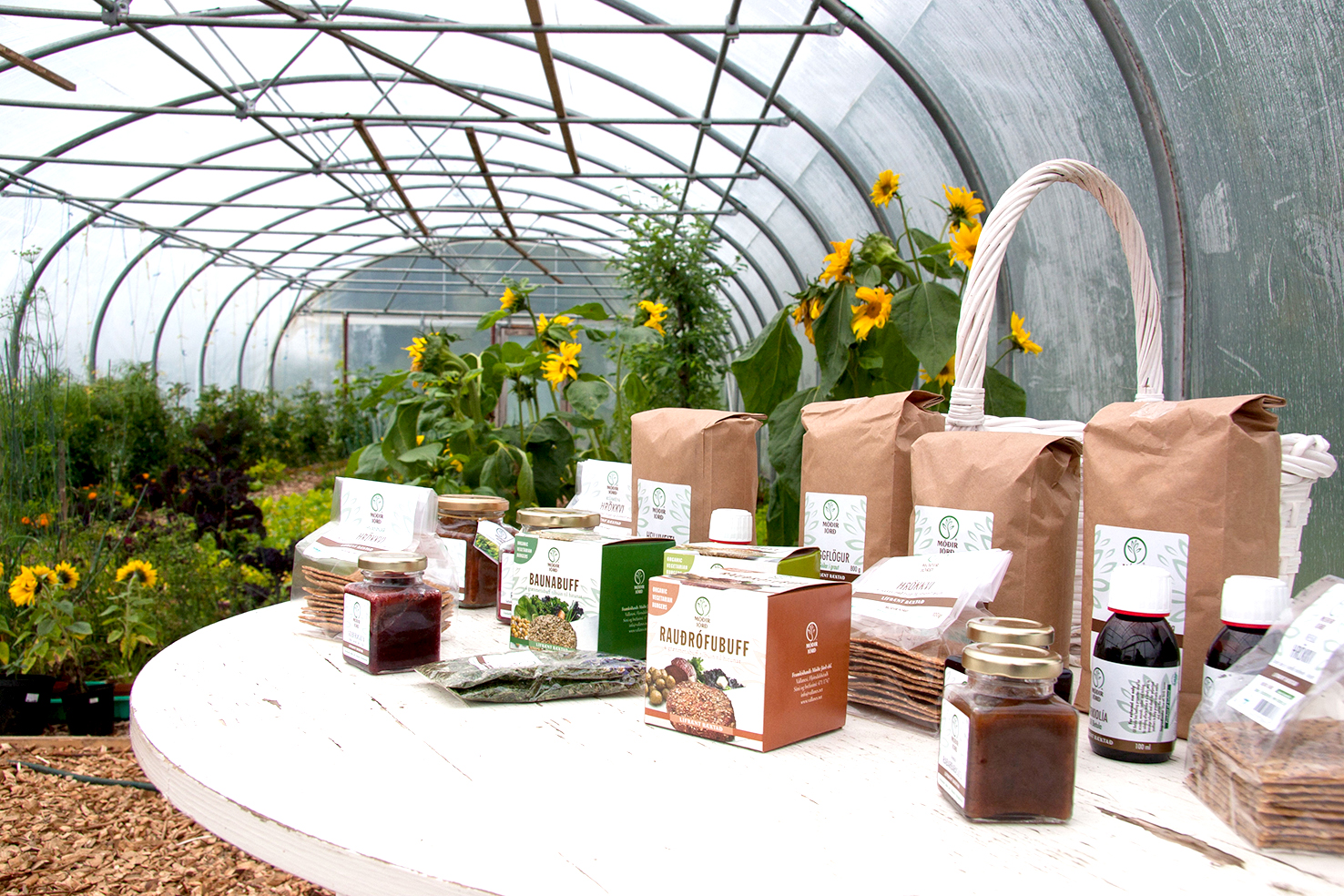 Efling lífrænnar matvælaframleiðslu á Íslandi