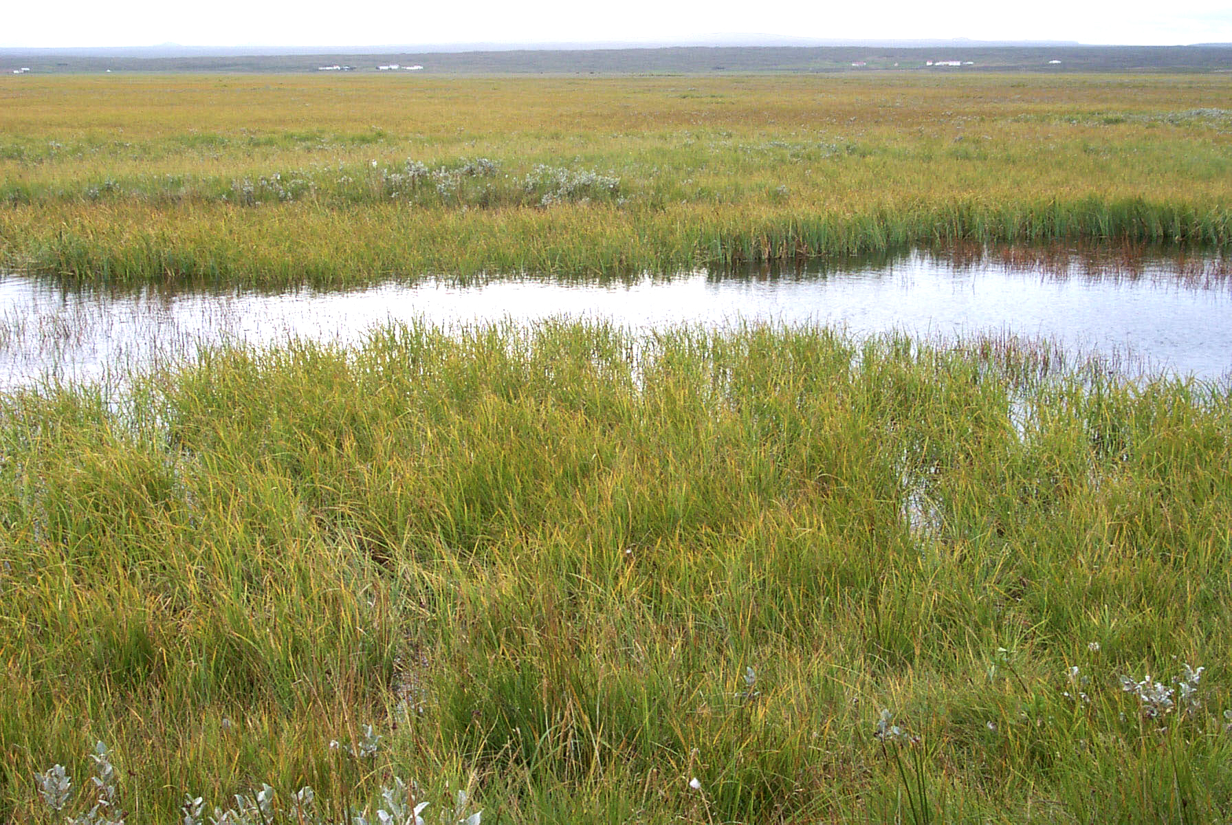 Viðameiri og meira íþyngjandi reglur í boði stjórnvalda